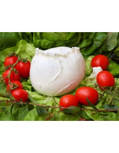 Mozzarella di Bufala...