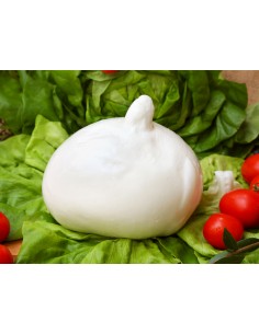 Mozzarella di Bufala...